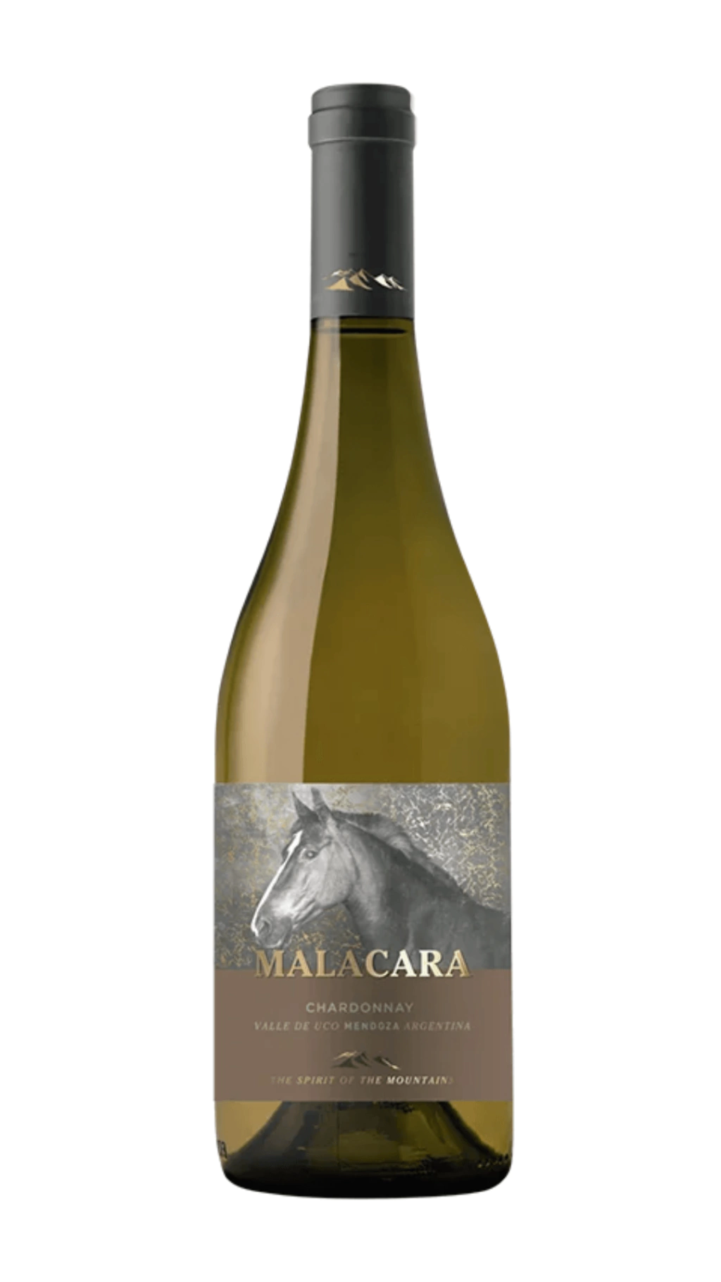 malacara-chardonnay-9acc3eb9178cd89fb817314346501563-1024-1024.webp Vinho Branco Malacara Chardonnay - 750ml - Imagem 1